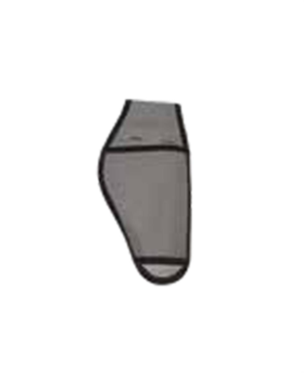 Holster
